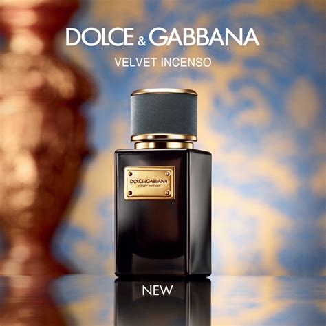 dolce gabbana velvet incenso kaufen|velvet cologne dolce gabbana.